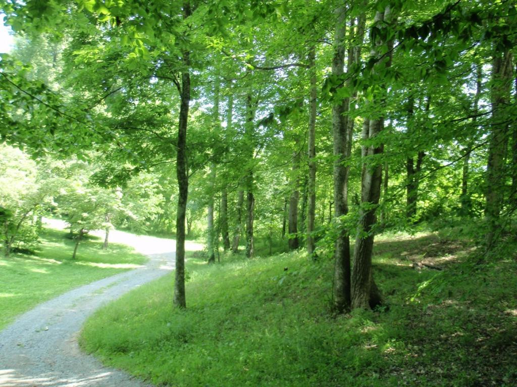 786 Old Jonesboro Road Bristol, TN 37620 - Photo 5 of 13 Photo 6