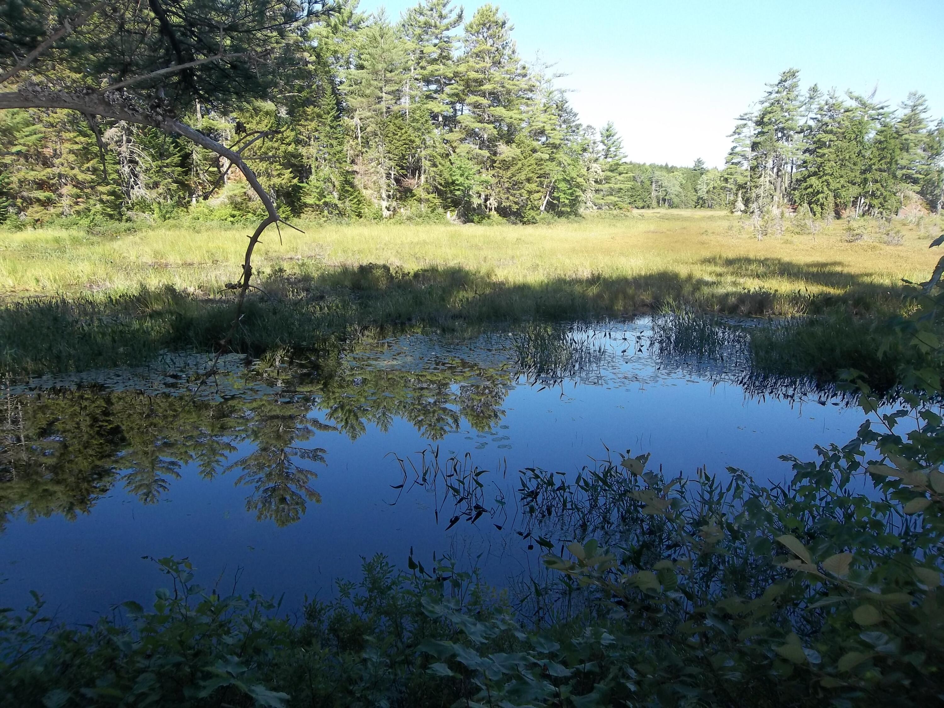 Lot 12 Hayward Point Road Wesley, ME 04686 - Photo 2 of 8 100_2396
