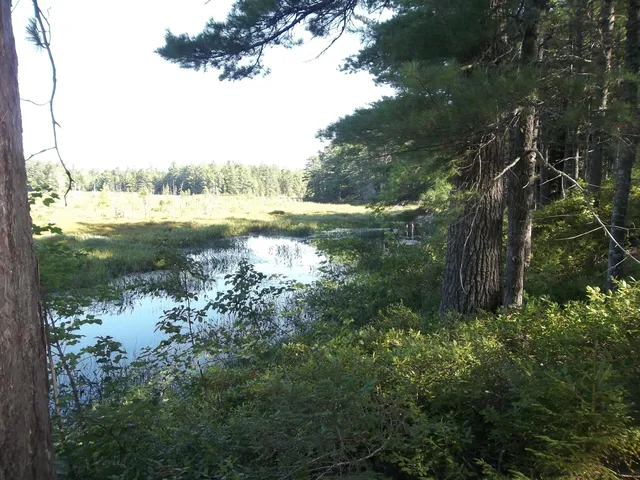 $99,900 | Lot 12 Hayward Point Road, Wesley, ME 04686