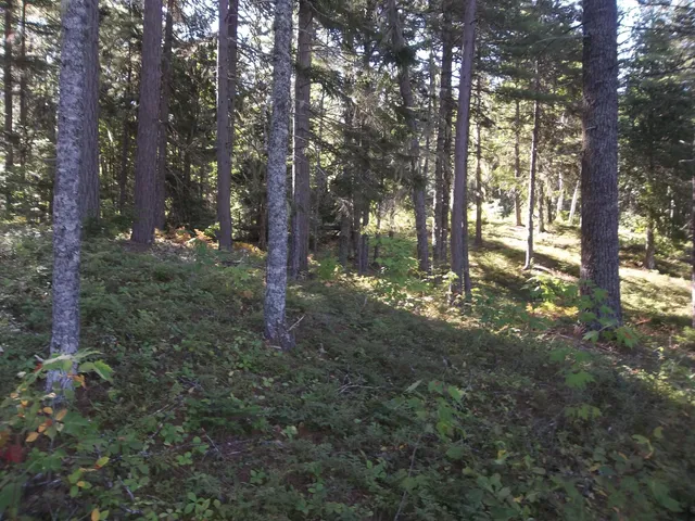 $99,900 | Lot 12 Hayward Point Road, Wesley, ME 04686