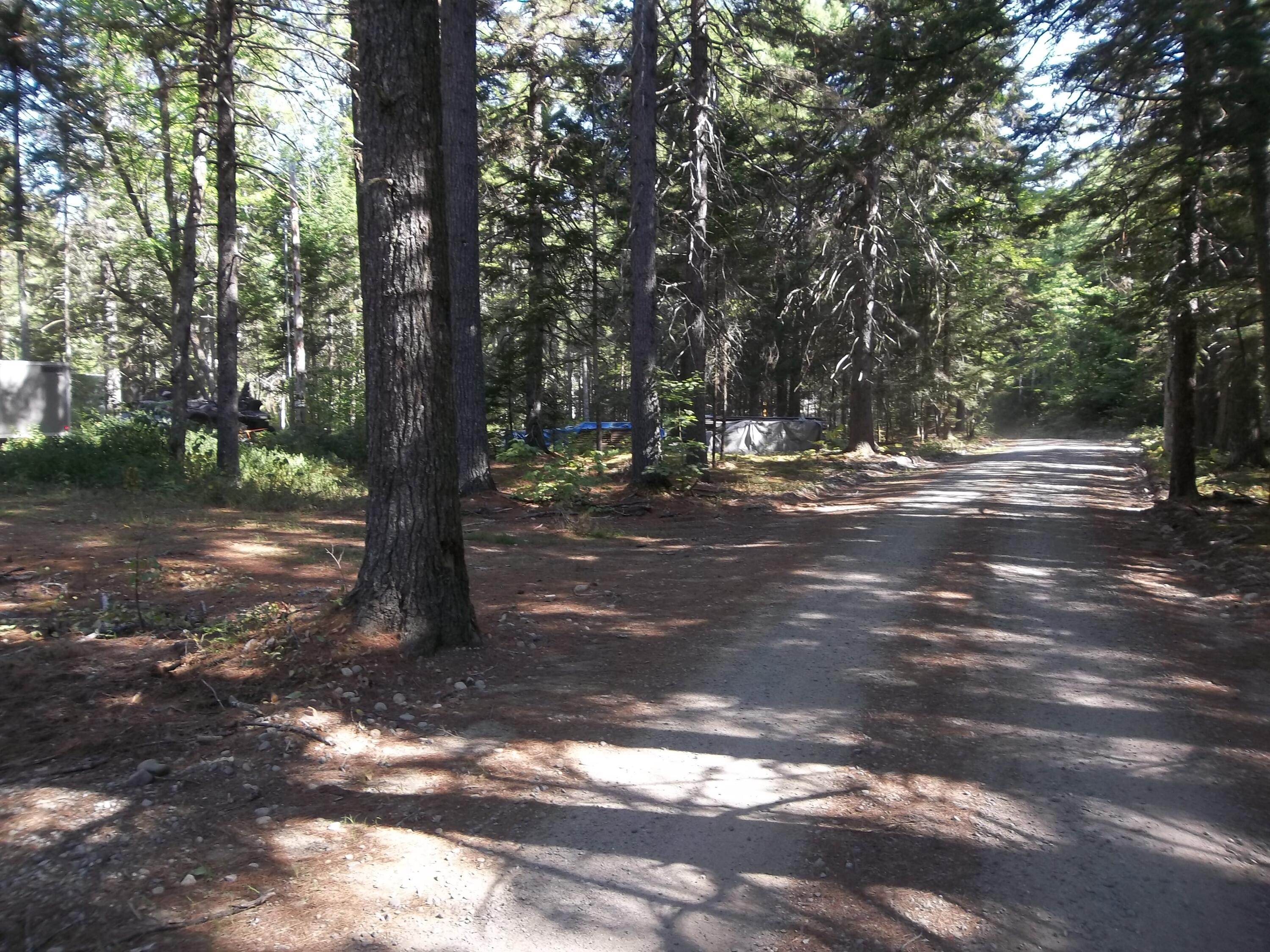 Lot 12 Hayward Point Road Wesley, ME 04686 - Photo 7 of 8 100_2401