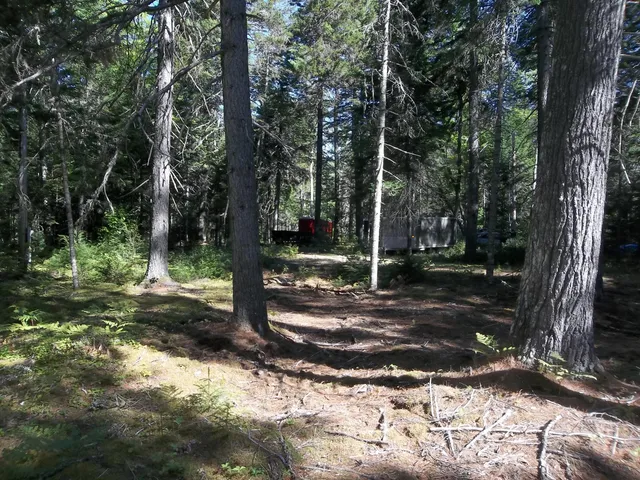 $99,900 | Lot 12 Hayward Point Road, Wesley, ME 04686