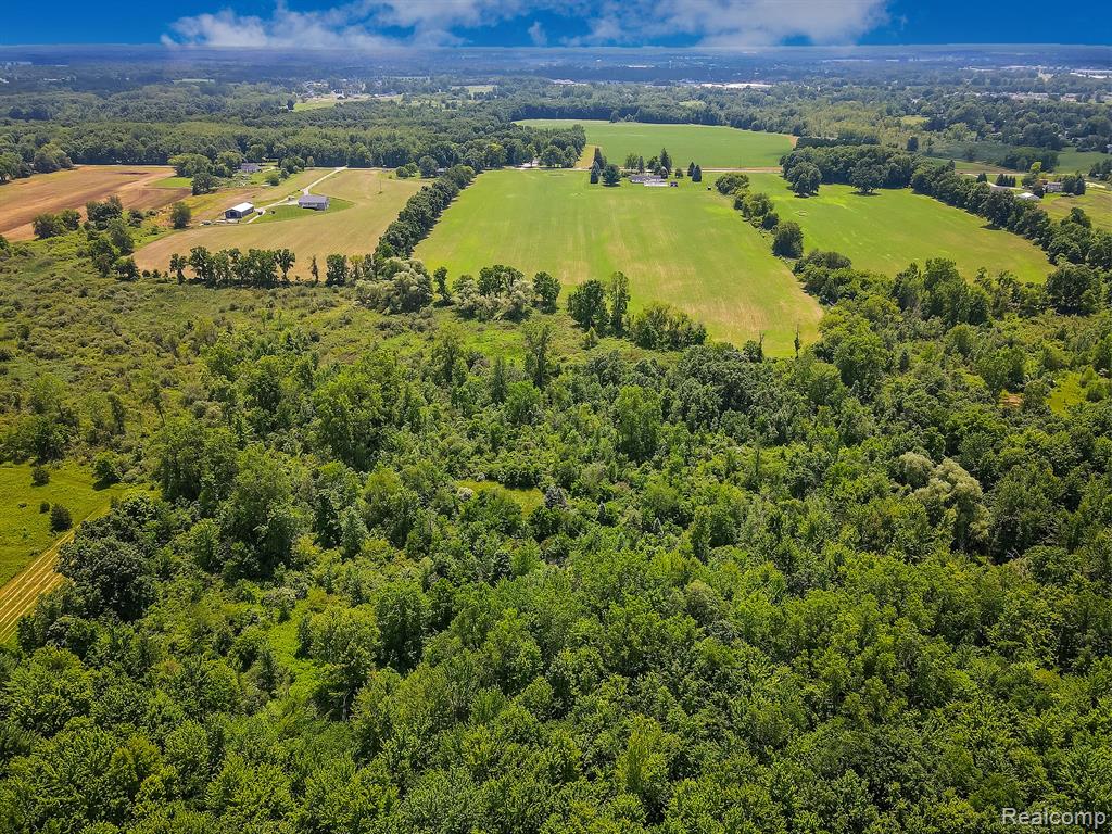 7653 Chase Lake Road Fowlerville, MI 48836 - Photo 46 of 52