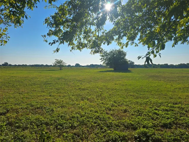 a view of an ocean from a yard