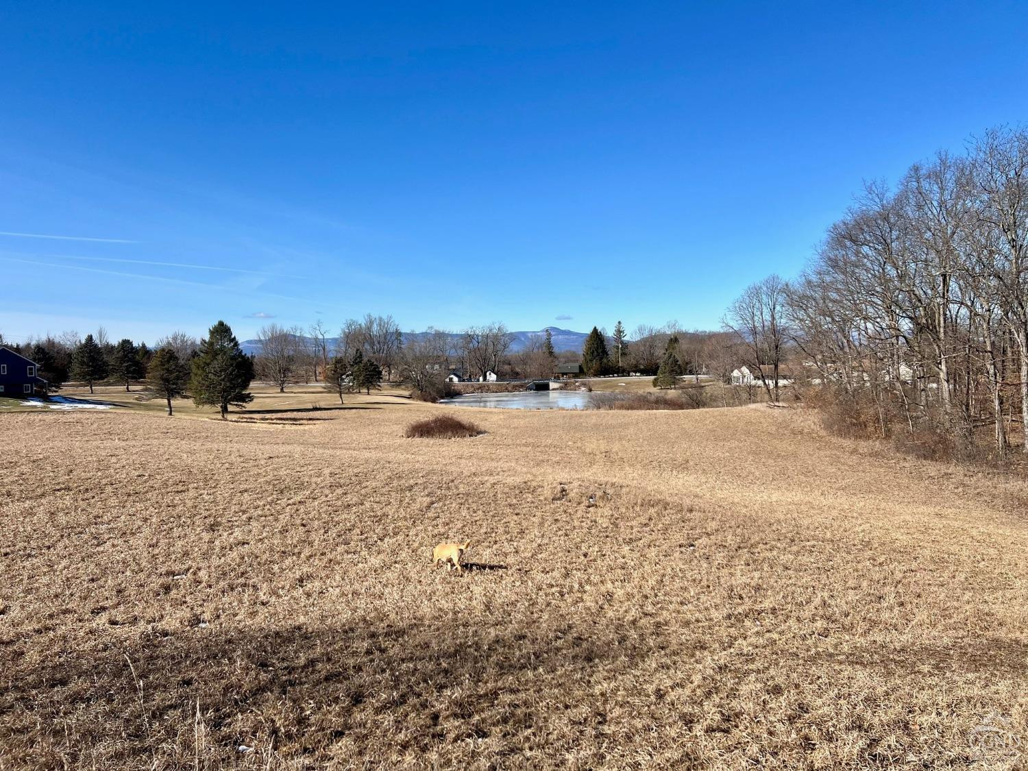 0 Lynk Road Hudson, NY 12534 - Photo 8 of 14 Photo 8