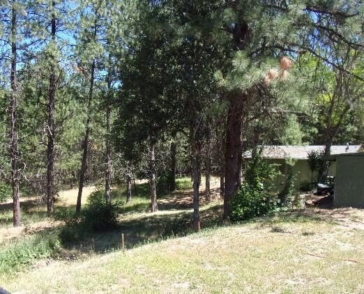 16880 Ford Road Rogue River, OR 97537 - Photo 30 of 37 side yard