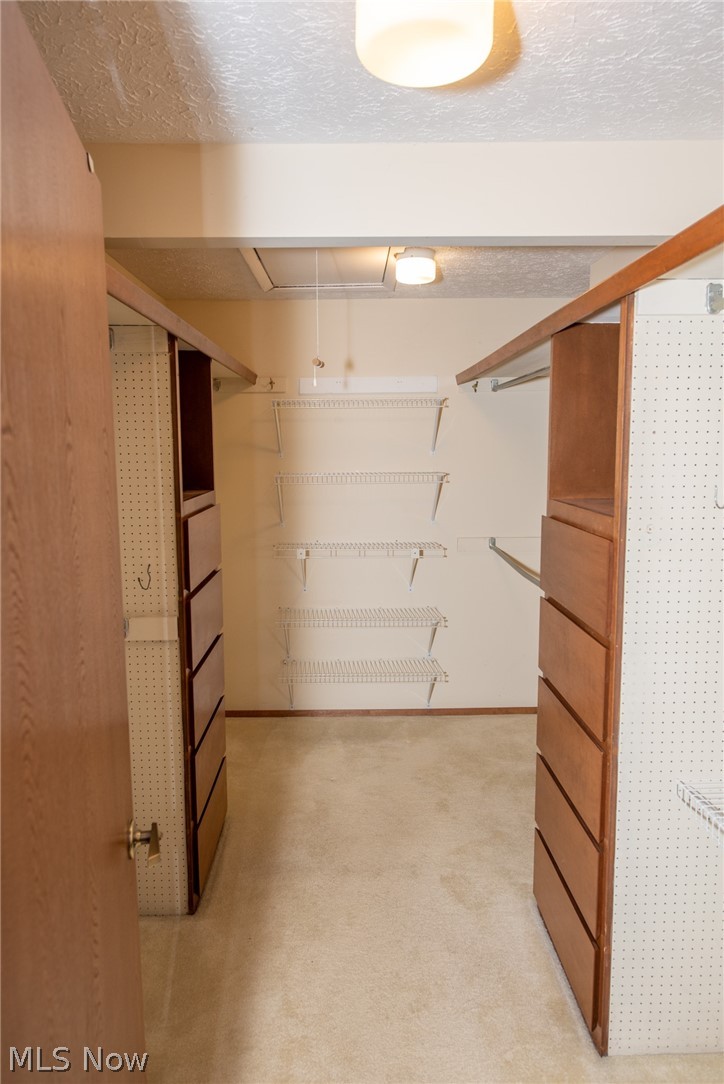 171 Granger Road, Unit 155 Medina, OH 44256 - Photo 12 of 24 Walk in closet in primary bedroom