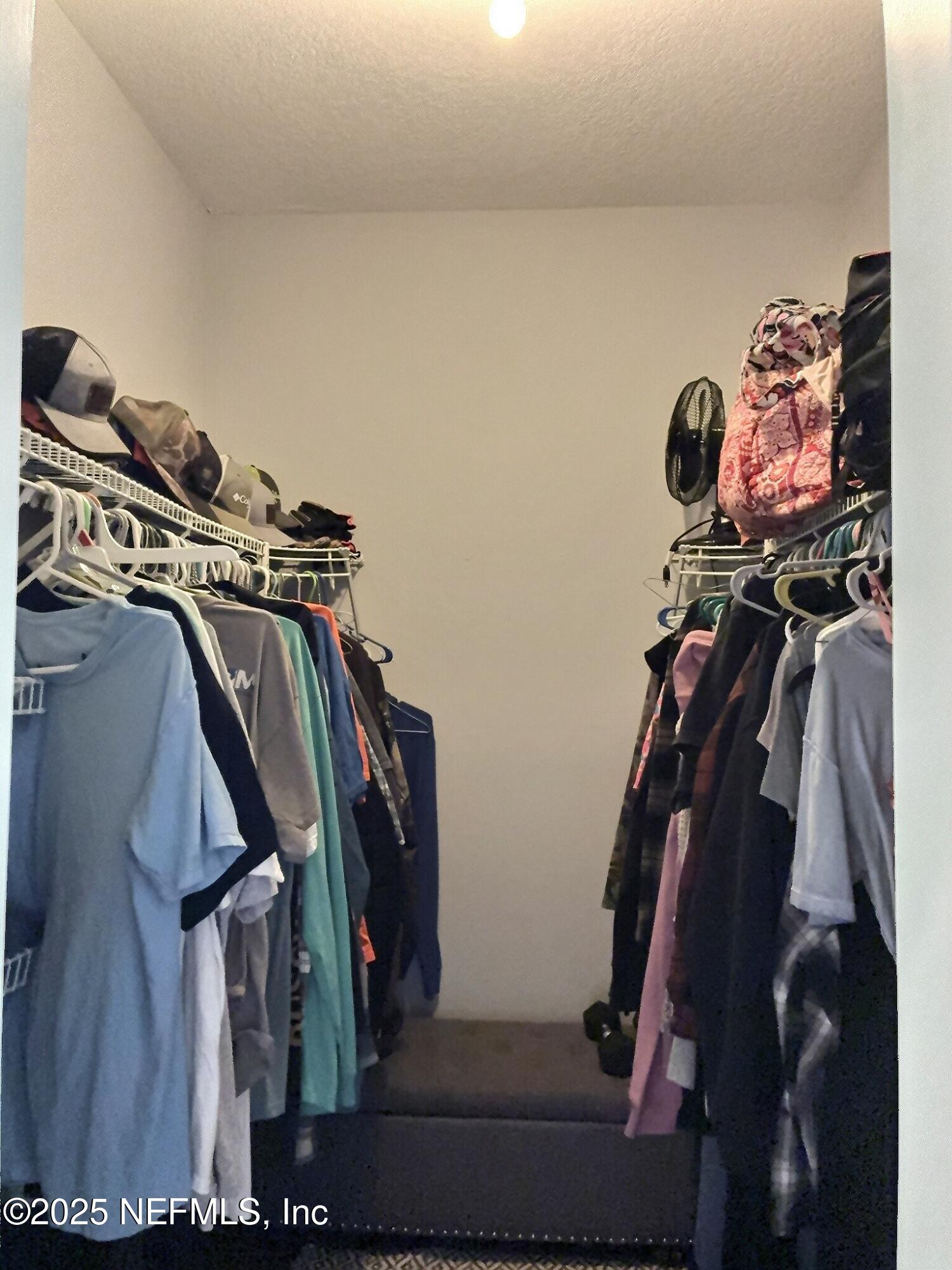 224 Crocus Lane Hawthorne, FL 32640 - Photo 27 of 58 a view of walk in closet with clothes and shoes