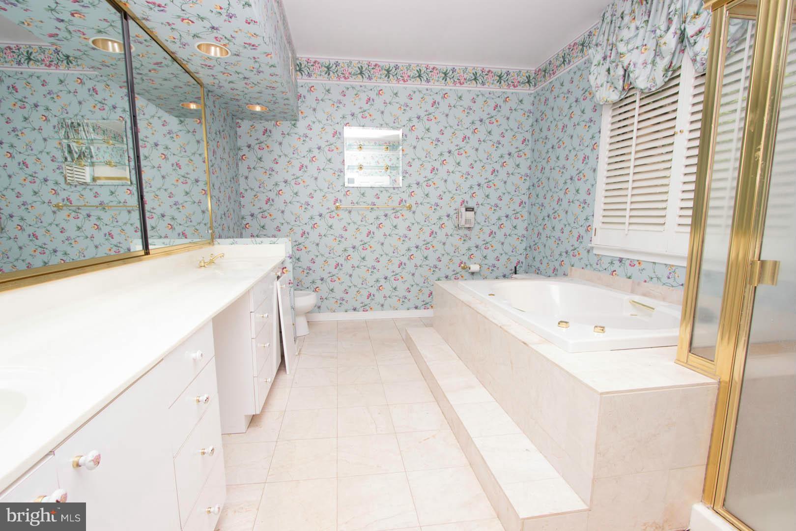 8613 Stevenson Road Stevenson, MD 21153 - Photo 14 of 26 Bath (Master) #1