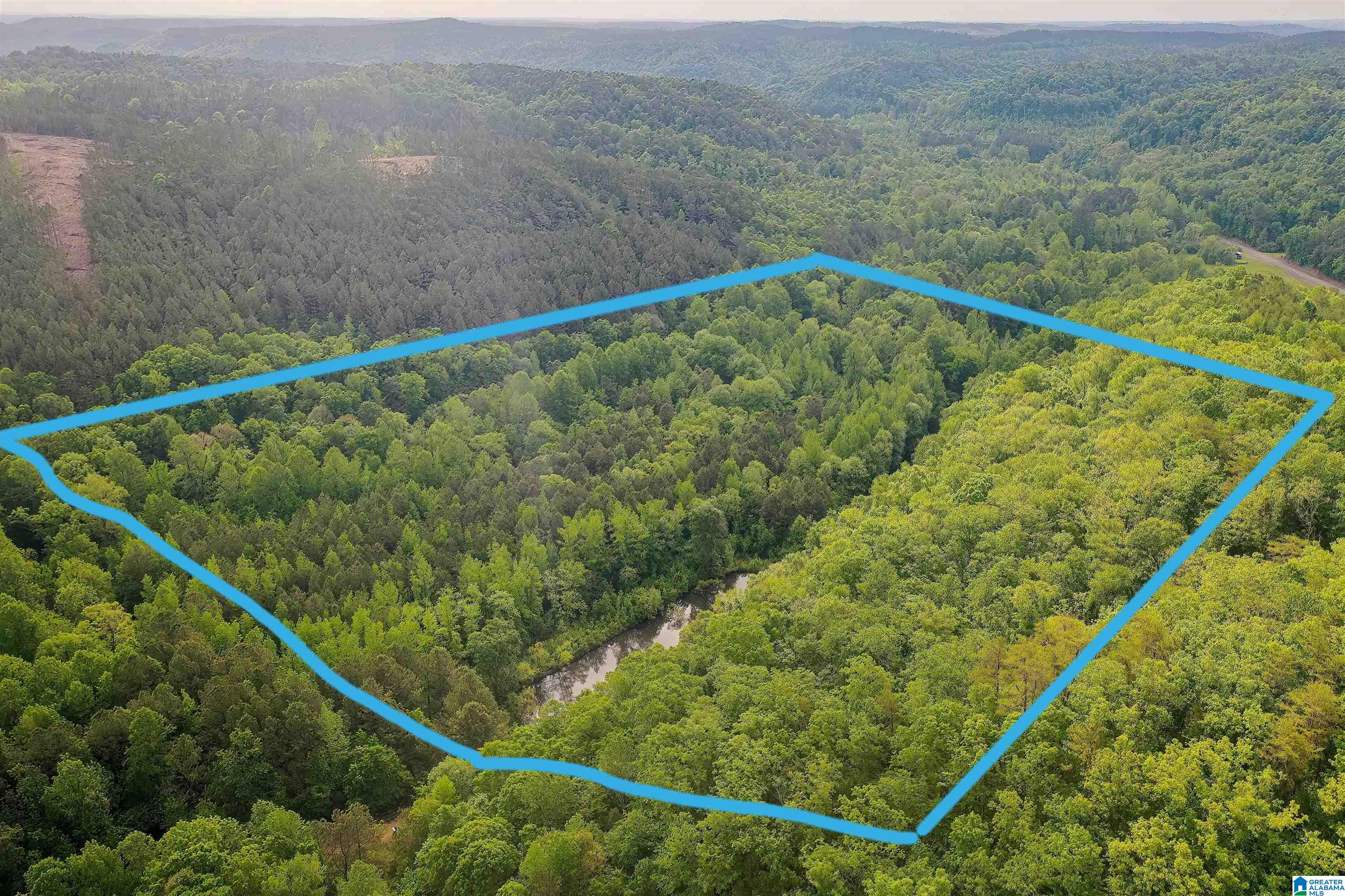 0 Wolf Creek Road Carbon Hill, AL 35549 - Photo 18 of 29