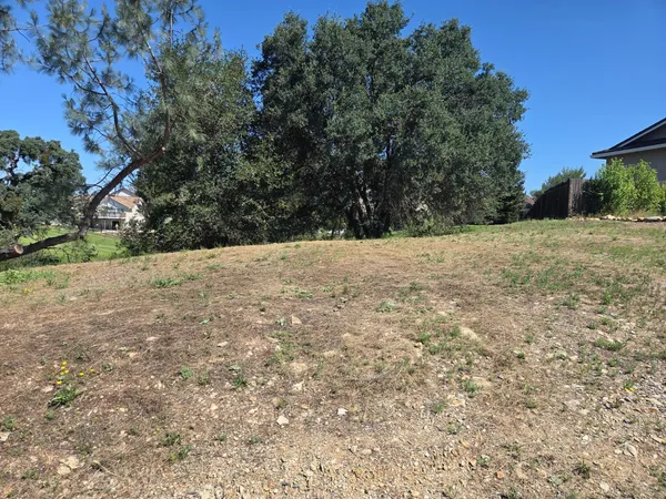 a view of empty yard