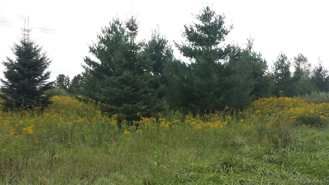 Parcel D Gilbert Memphis, MI 48041 - Photo 3 of 5