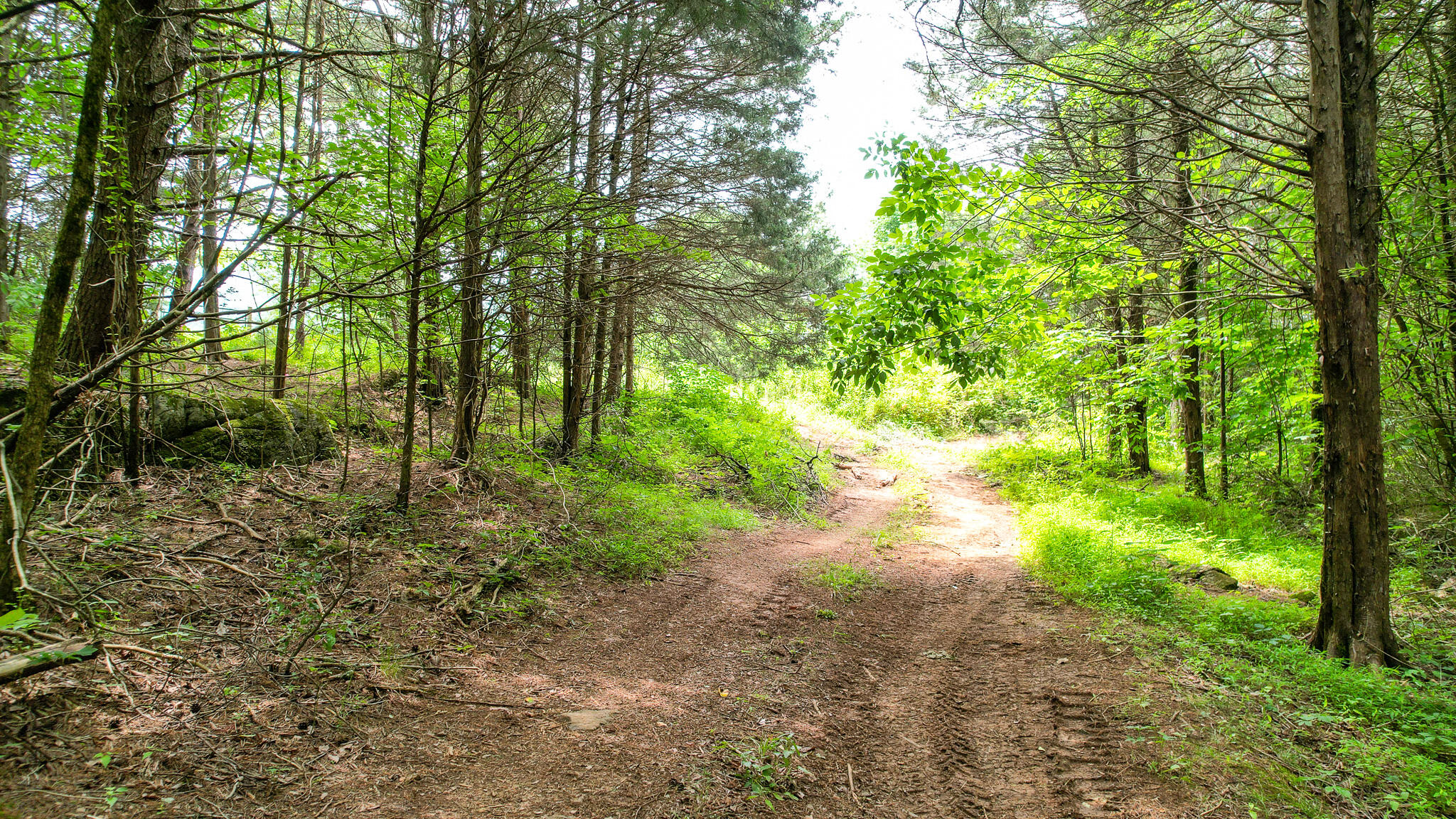 Tbd West Pines Road, Unit 16 Afton, TN 37616 - Photo 11 of 37 DJI_0696