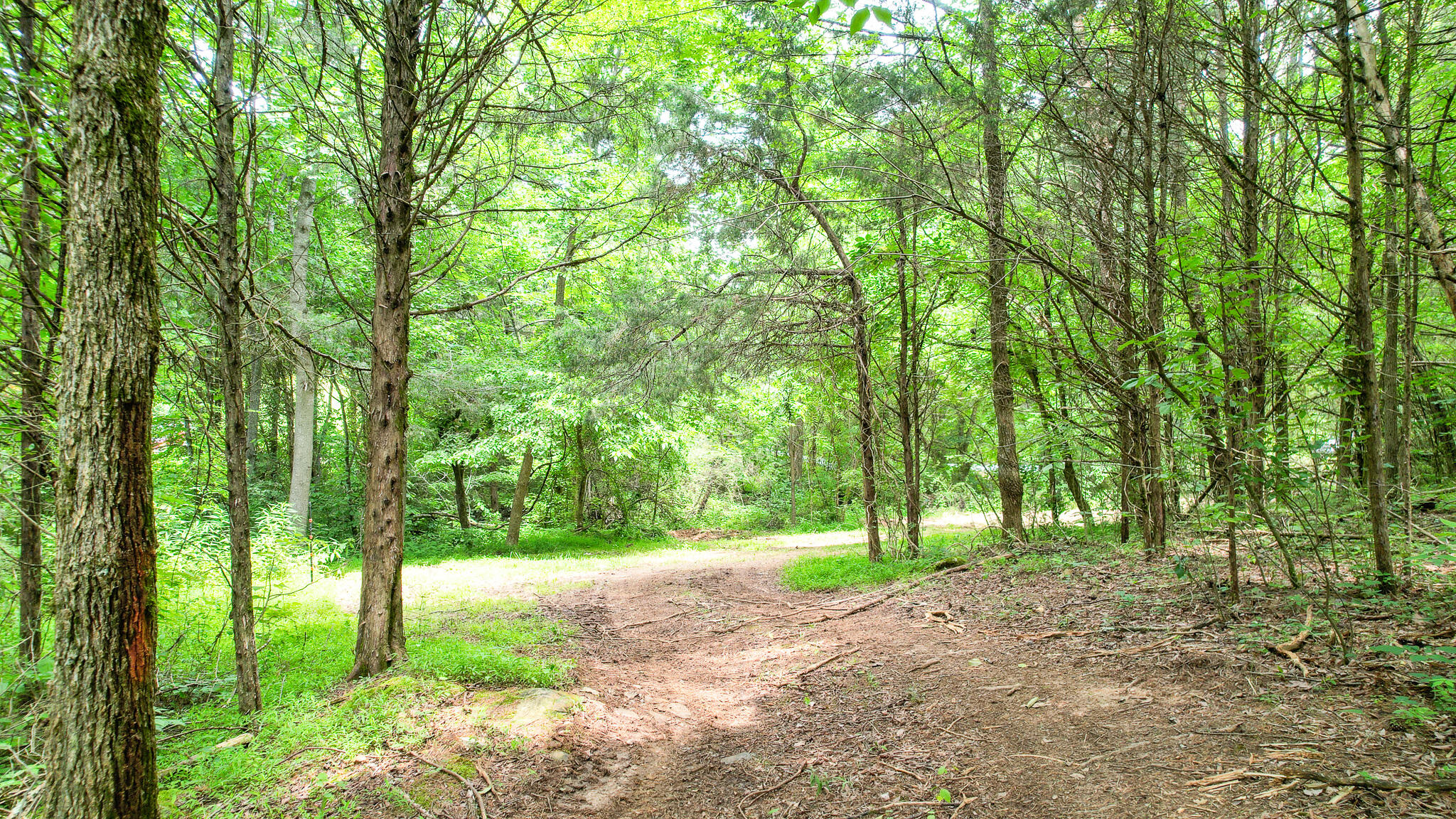 Tbd West Pines Road, Unit 16 Afton, TN 37616 - Photo 12 of 37 DJI_0697