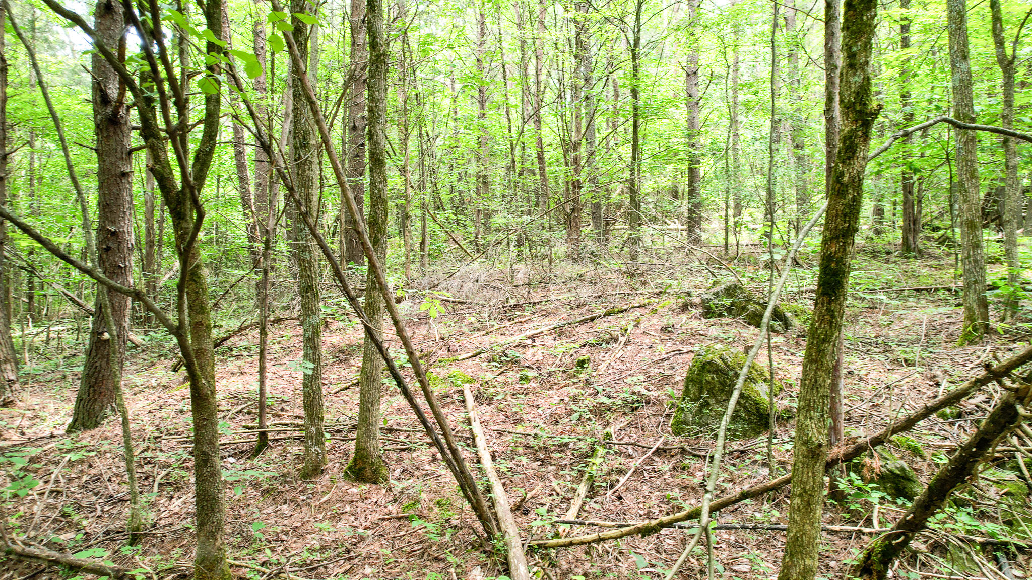 Tbd West Pines Road, Unit 16 Afton, TN 37616 - Photo 13 of 37 DJI_0698