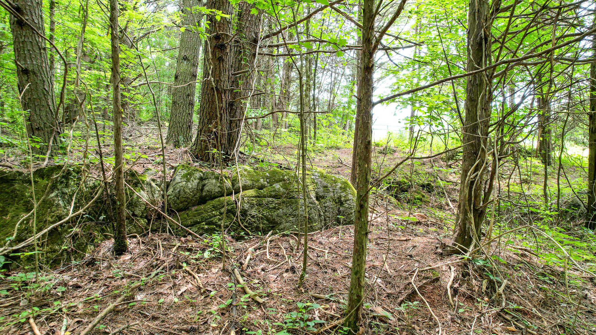 Tbd West Pines Road, Unit 16 Afton, TN 37616 - Photo 14 of 37 DJI_0699