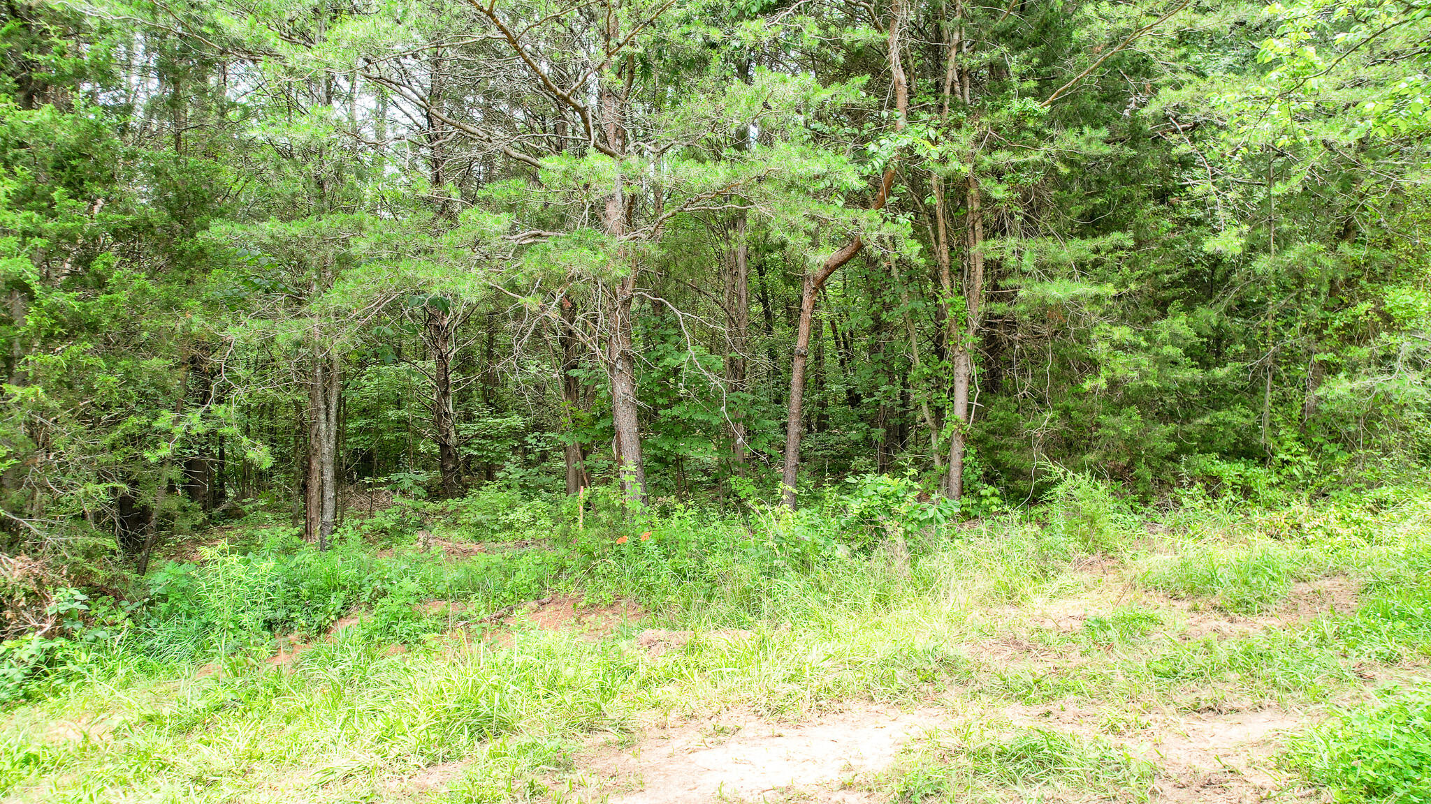 Tbd West Pines Road, Unit 16 Afton, TN 37616 - Photo 15 of 37 DJI_0700