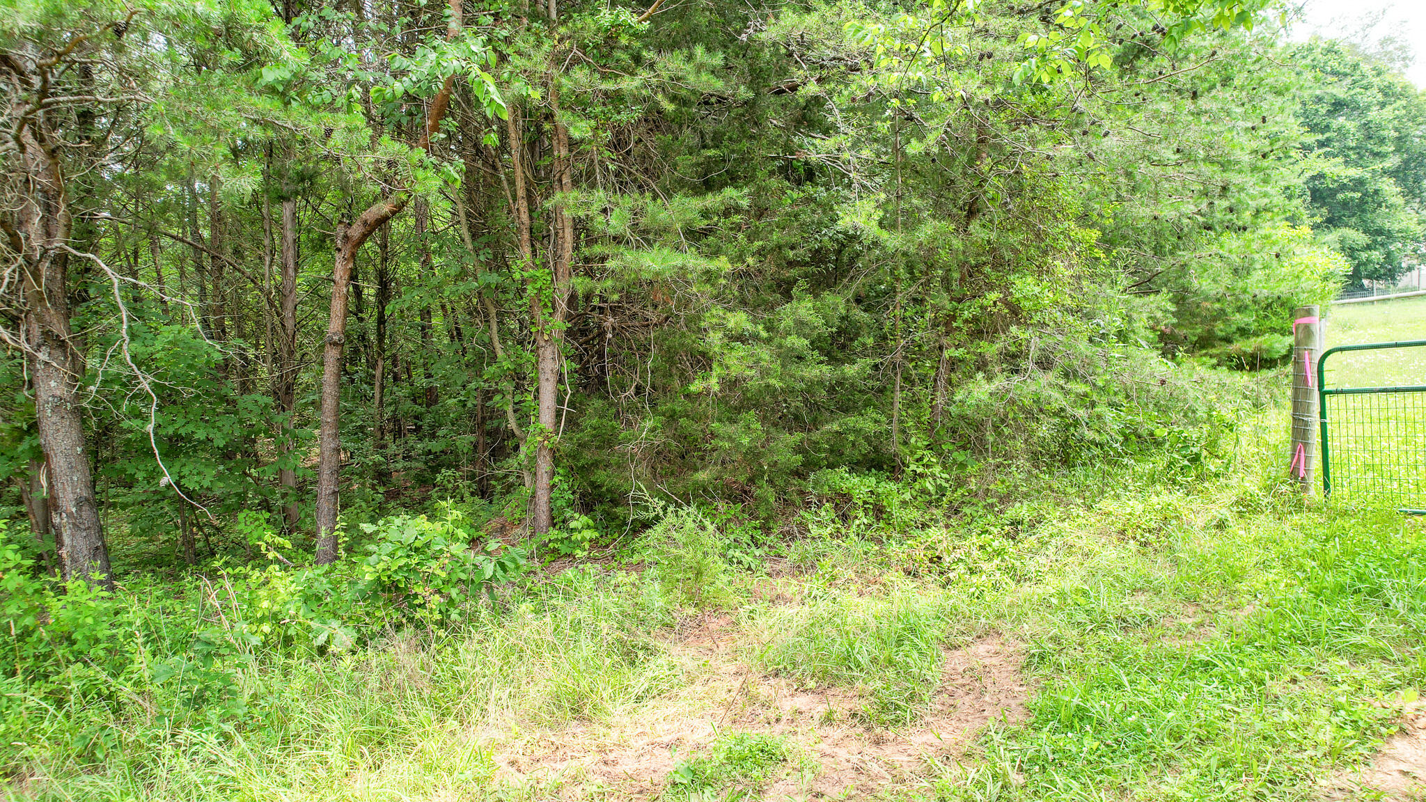 Tbd West Pines Road, Unit 16 Afton, TN 37616 - Photo 16 of 37 DJI_0701