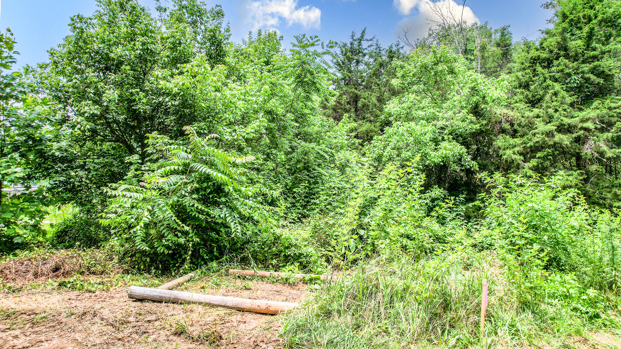 Tbd West Pines Road, Unit 16 Afton, TN 37616 - Photo 18 of 37 DJI_0703-Edit