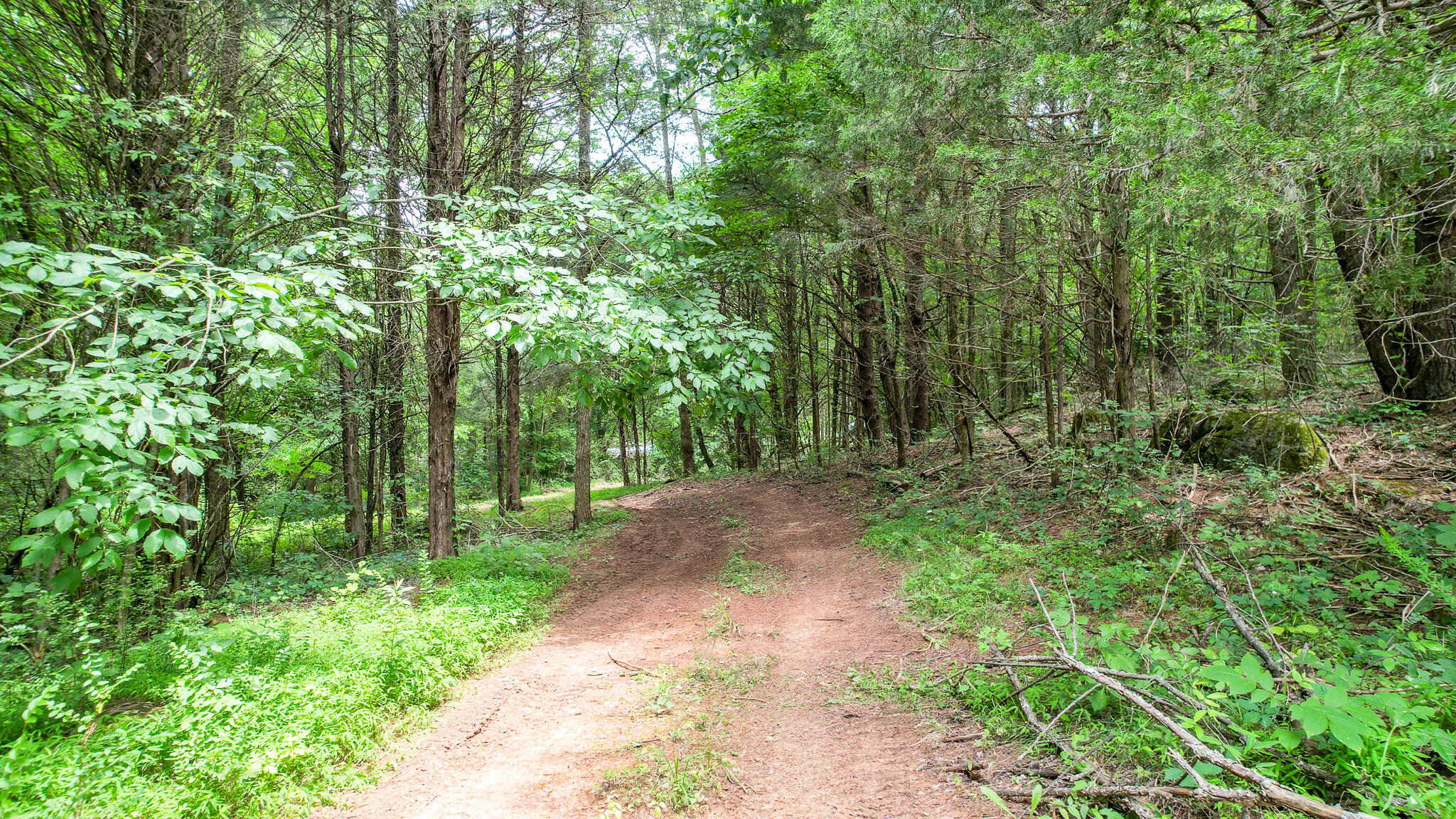 Tbd West Pines Road, Unit 16 Afton, TN 37616 - Photo 20 of 37 DJI_0705