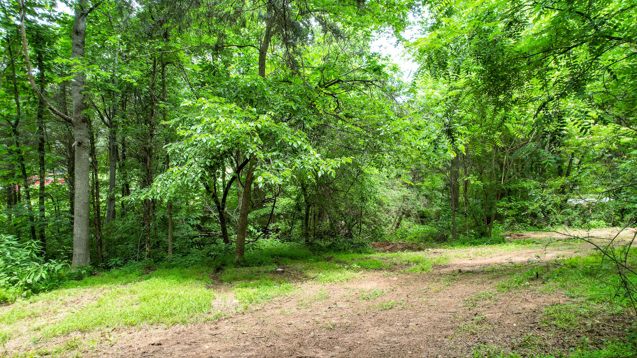 Tbd West Pines Road, Unit 16 Afton, TN 37616 - Photo 21 of 37 DJI_0706
