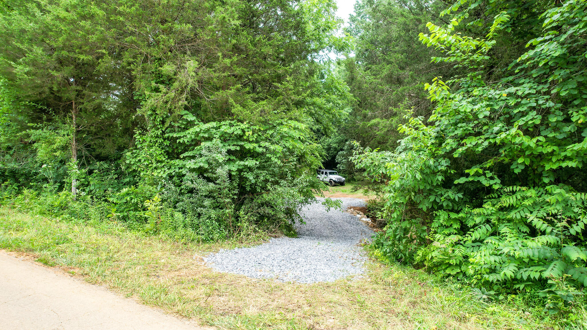 Tbd West Pines Road, Unit 16 Afton, TN 37616 - Photo 23 of 37 DJI_0708