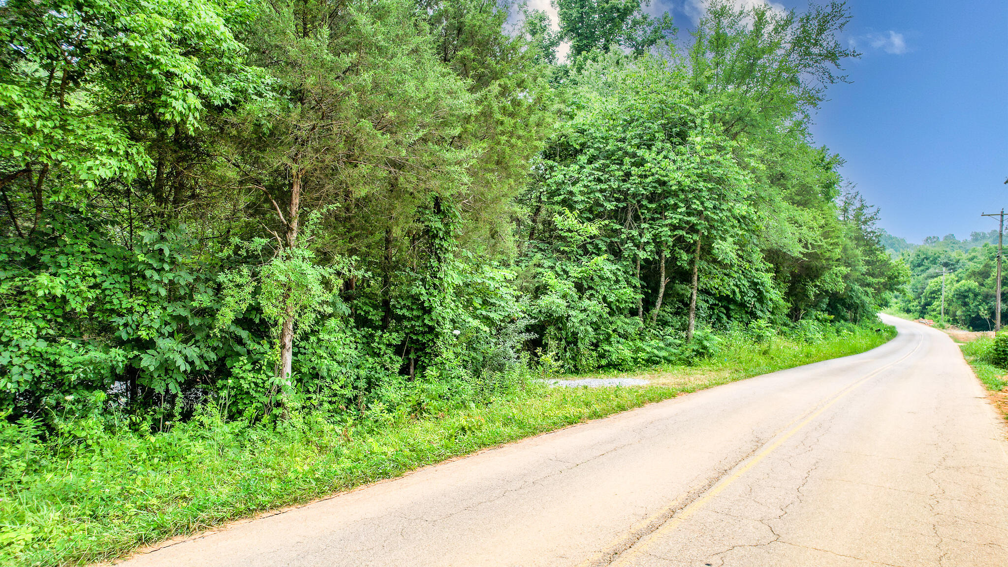 Tbd West Pines Road, Unit 16 Afton, TN 37616 - Photo 24 of 37 DJI_0710-Edit