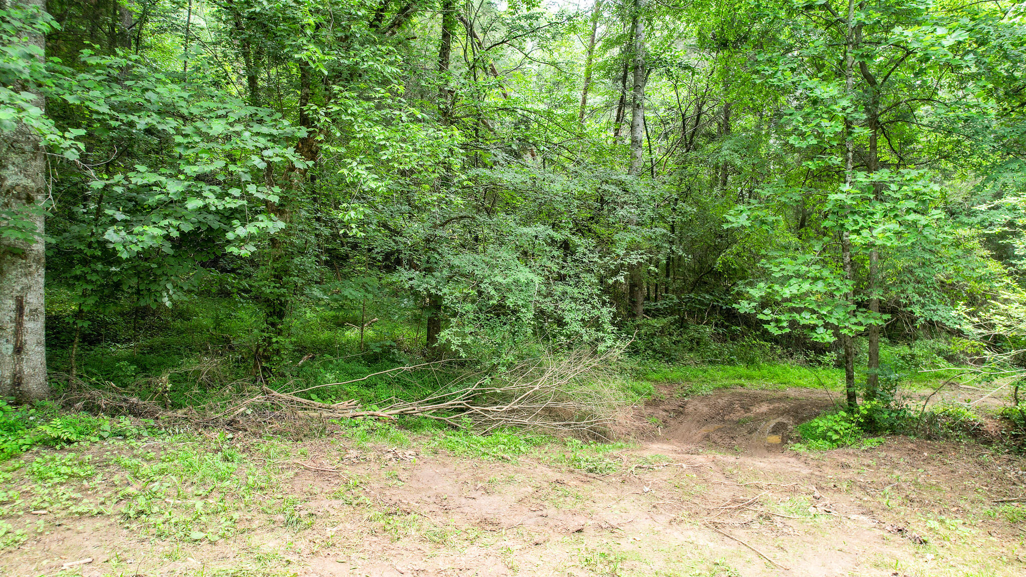 Tbd West Pines Road, Unit 16 Afton, TN 37616 - Photo 25 of 37 DJI_0714