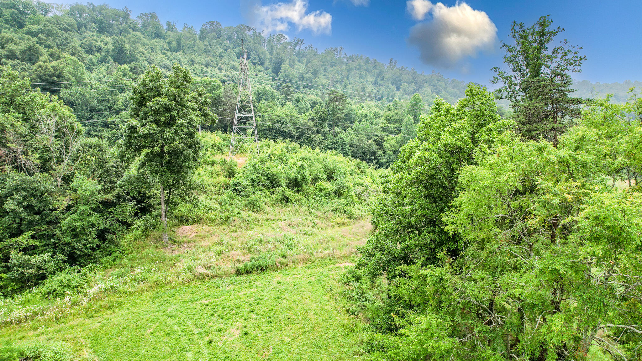 Tbd West Pines Road, Unit 16 Afton, TN 37616 - Photo 30 of 37 DJI_0739-Edit