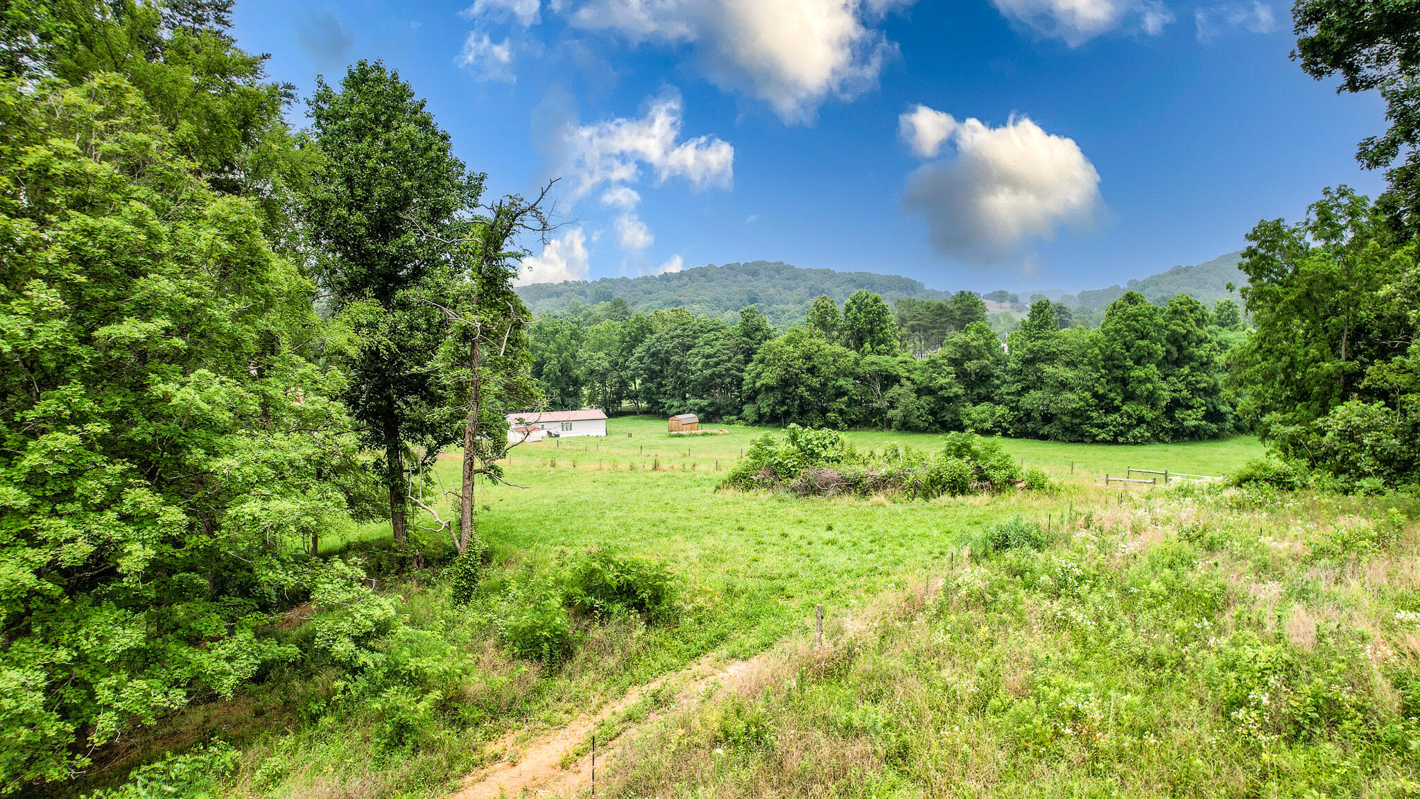 Tbd West Pines Road, Unit 16 Afton, TN 37616 - Photo 32 of 37 DJI_0741-Edit