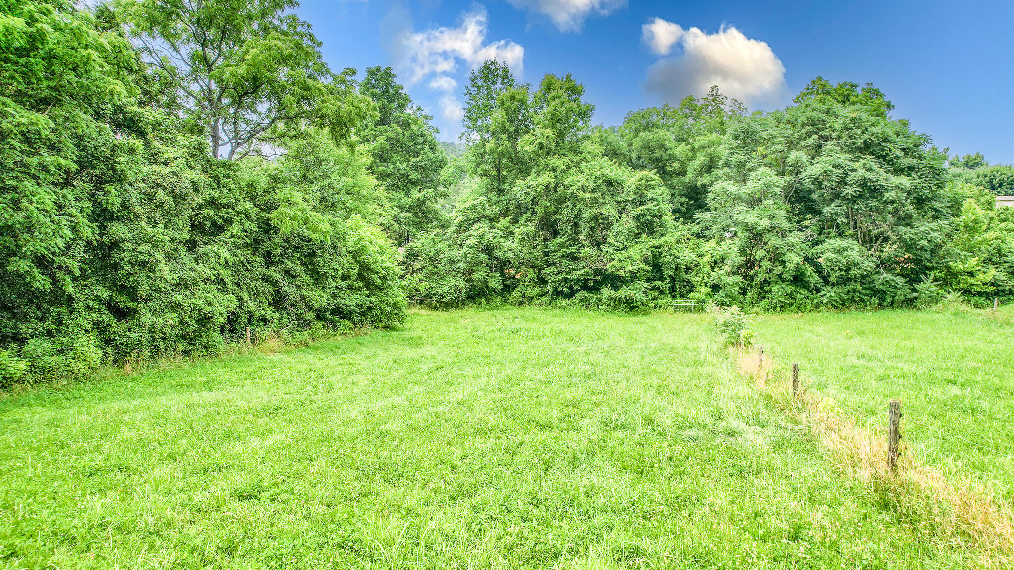 Tbd West Pines Road, Unit 16 Afton, TN 37616 - Photo 33 of 37 DJI_0750-Edit