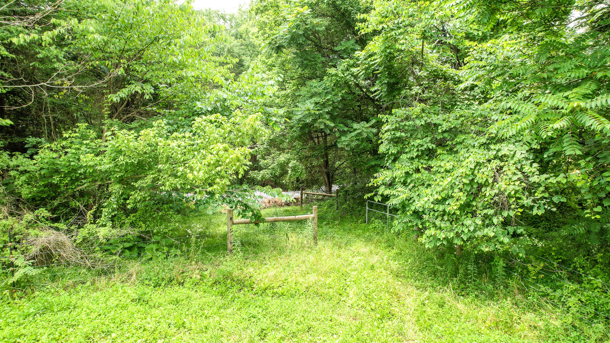 Tbd West Pines Road, Unit 16 Afton, TN 37616 - Photo 34 of 37 DJI_0751