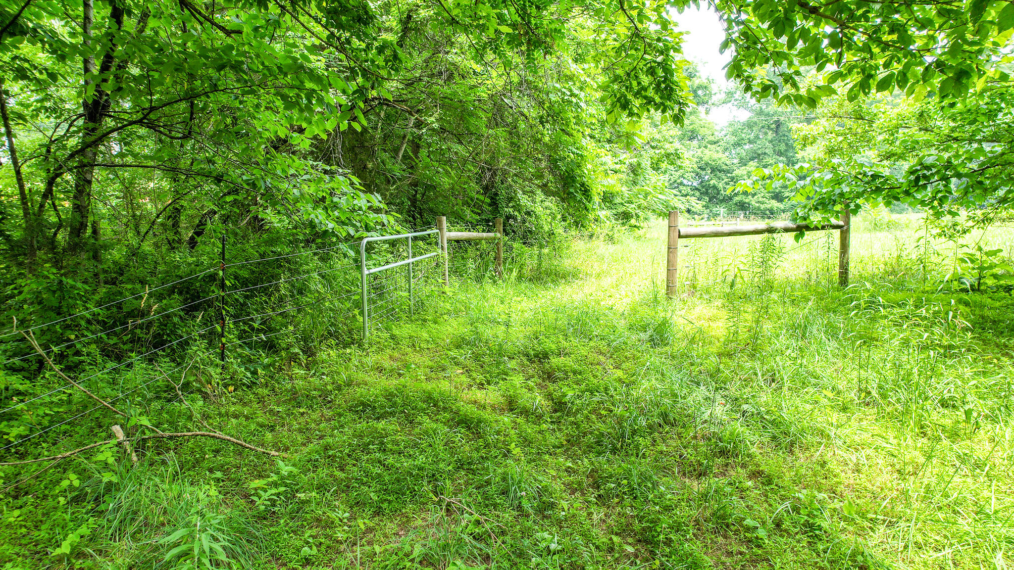 Tbd West Pines Road, Unit 16 Afton, TN 37616 - Photo 36 of 37 DJI_0758
