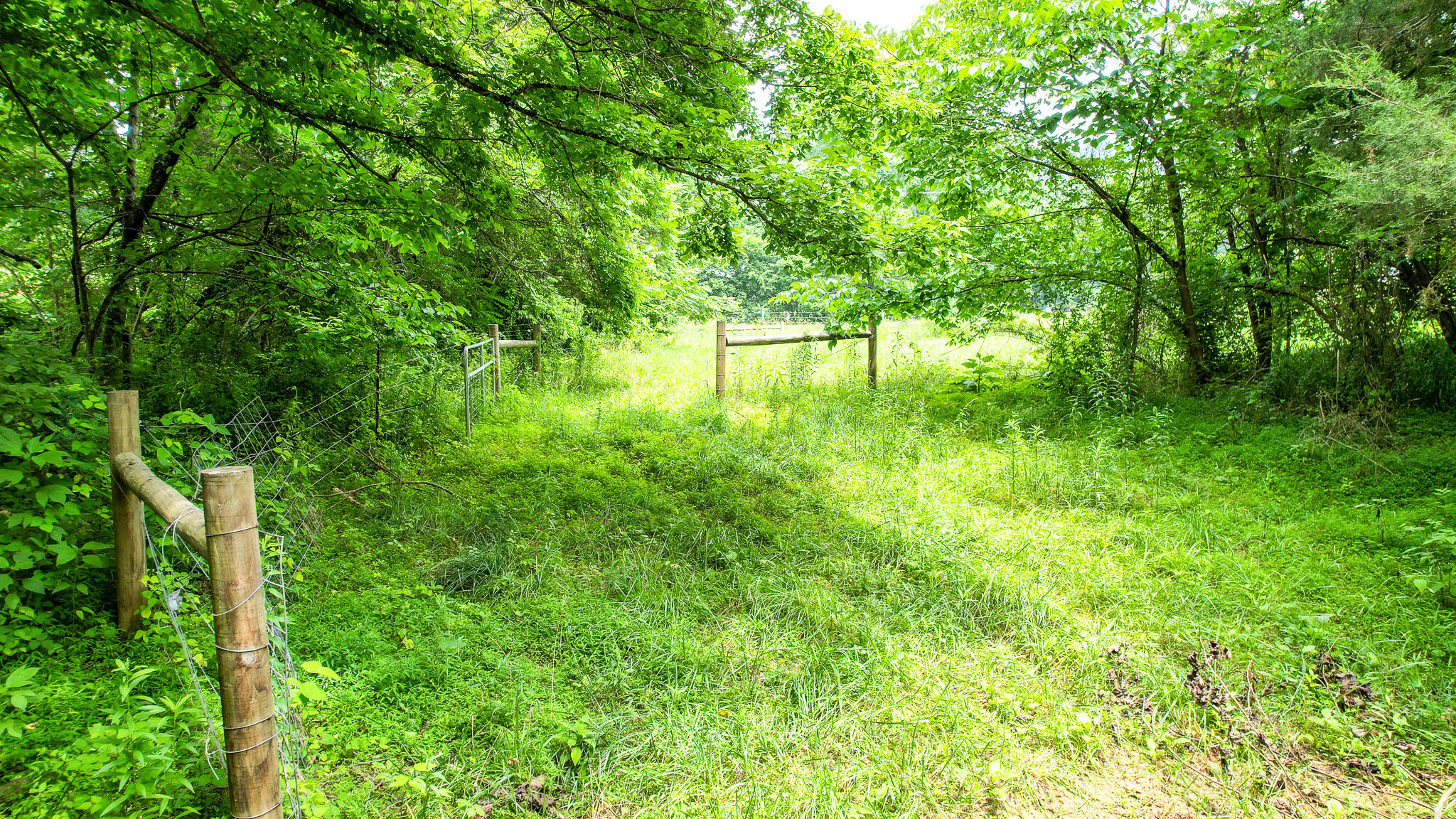 Tbd West Pines Road, Unit 16 Afton, TN 37616 - Photo 37 of 37 DJI_0759