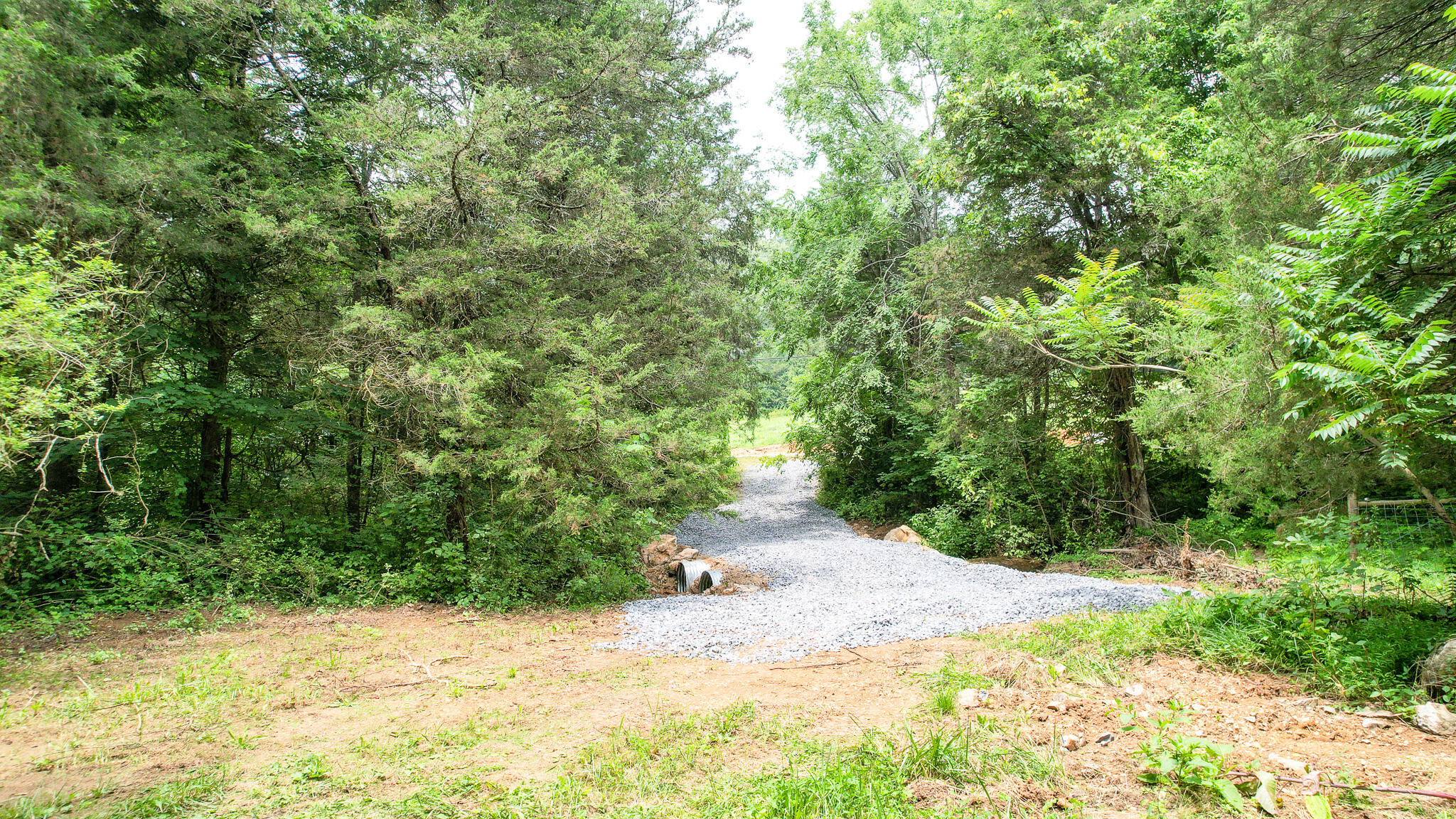 Tbd West Pines Road, Unit 16 Afton, TN 37616 - Photo 4 of 37 DJI_0686