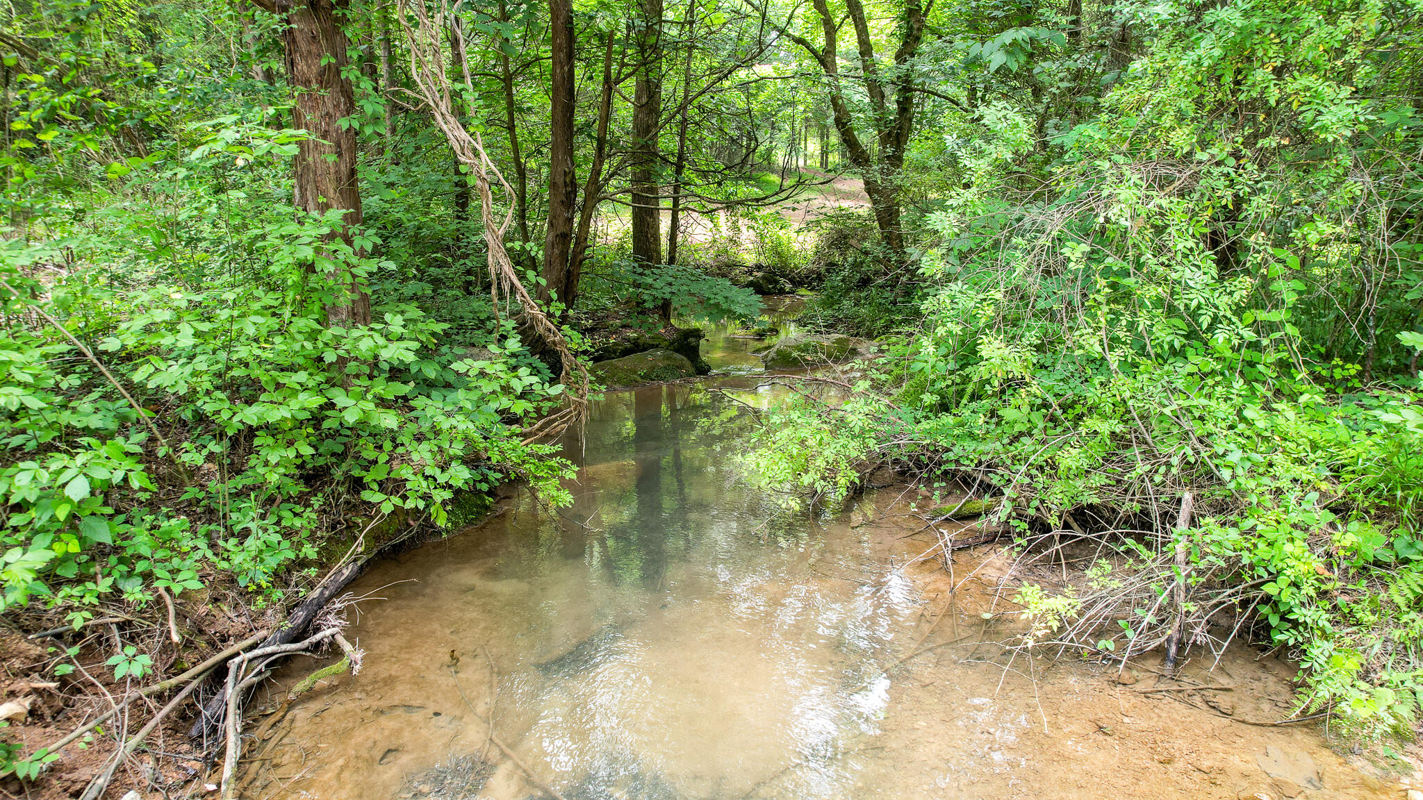 Tbd West Pines Road, Unit 16 Afton, TN 37616 - Photo 5 of 37 DJI_0688