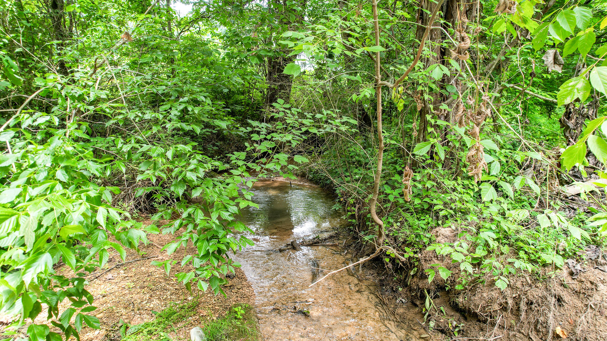 Tbd West Pines Road, Unit 16 Afton, TN 37616 - Photo 6 of 37 DJI_0689