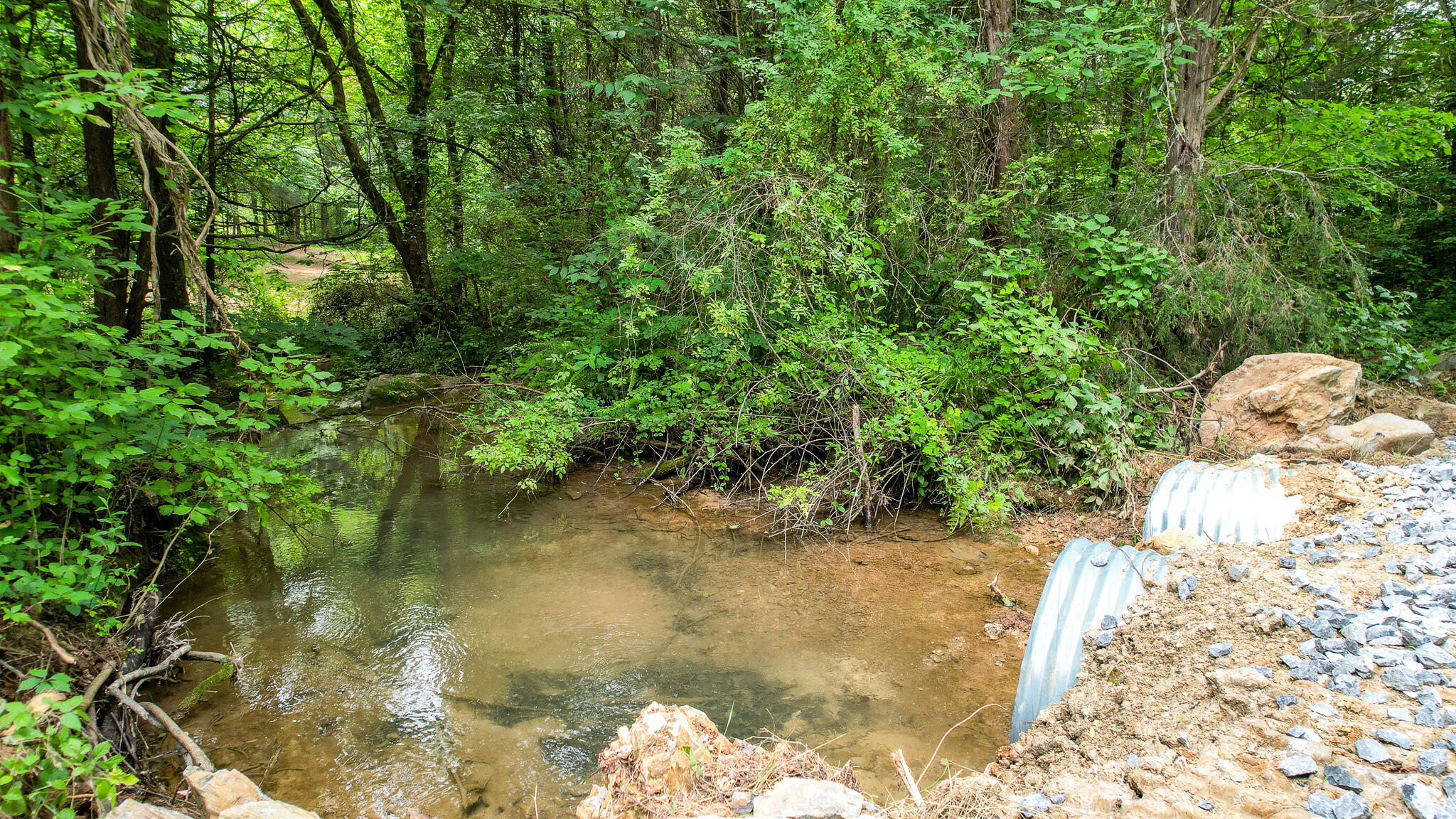 Tbd West Pines Road, Unit 16 Afton, TN 37616 - Photo 7 of 37 DJI_0690