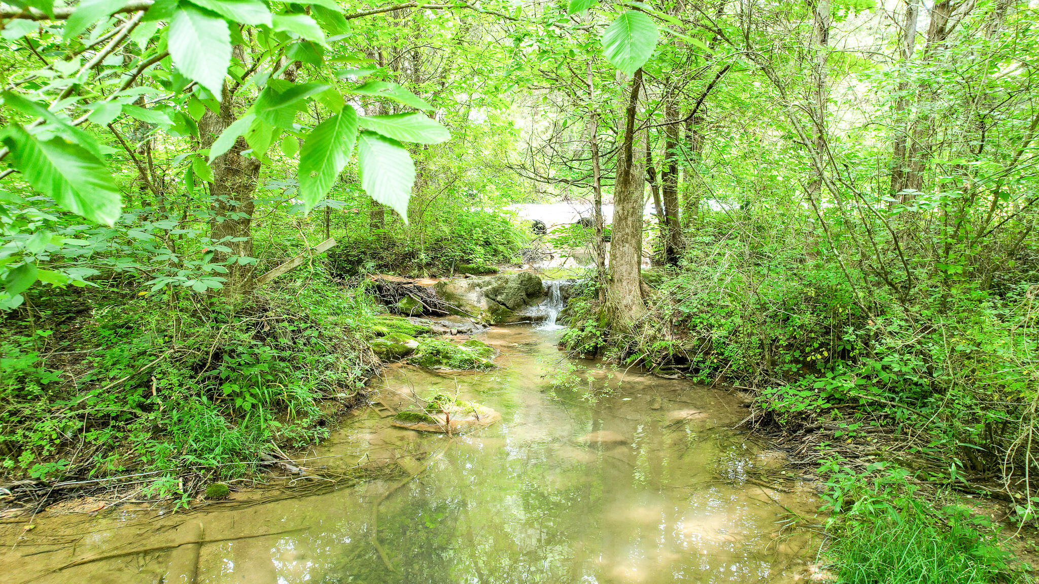 Tbd West Pines Road, Unit 16 Afton, TN 37616 - Photo 8 of 37 DJI_0691