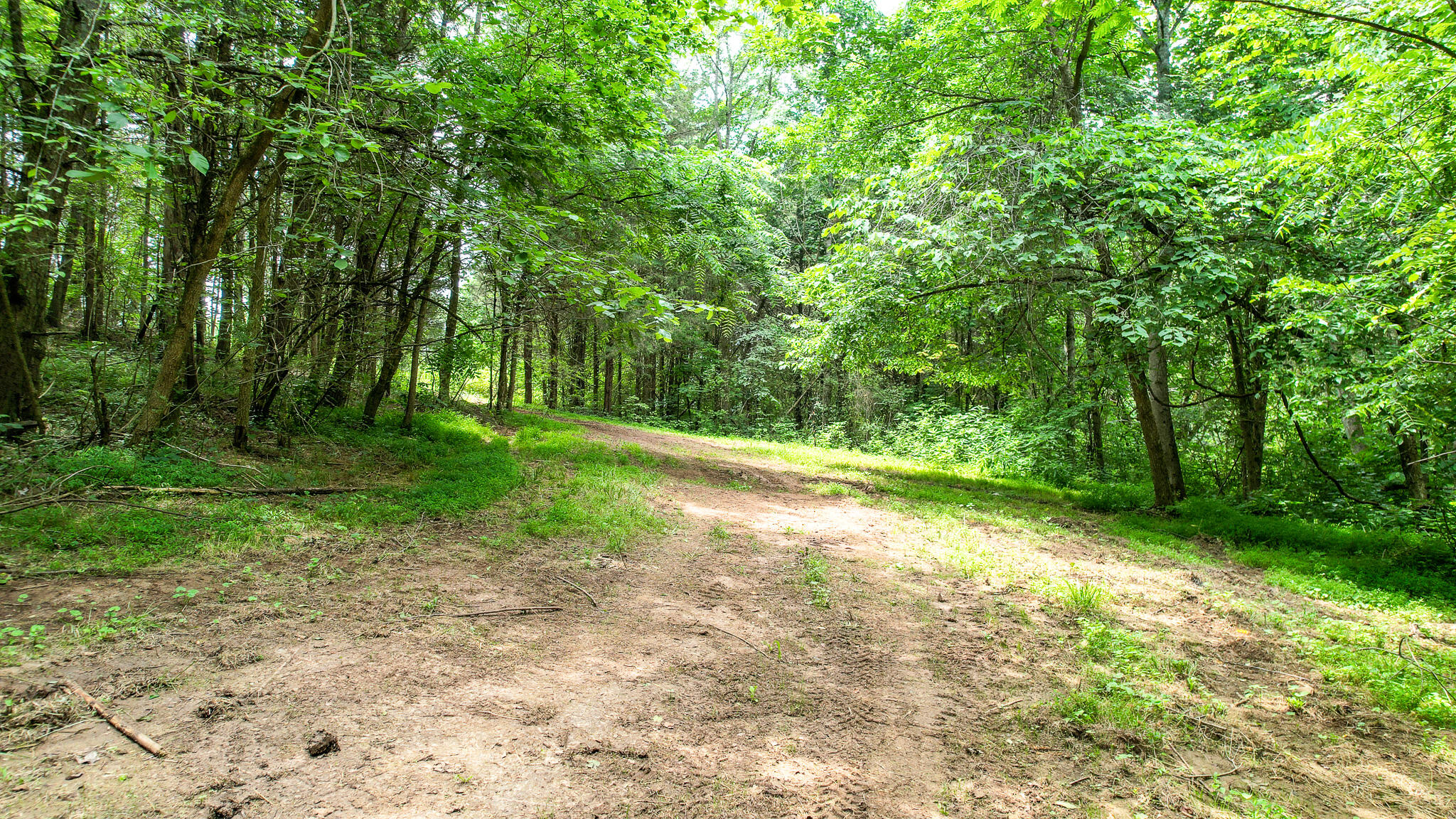 Tbd West Pines Road, Unit 16 Afton, TN 37616 - Photo 9 of 37 DJI_0693