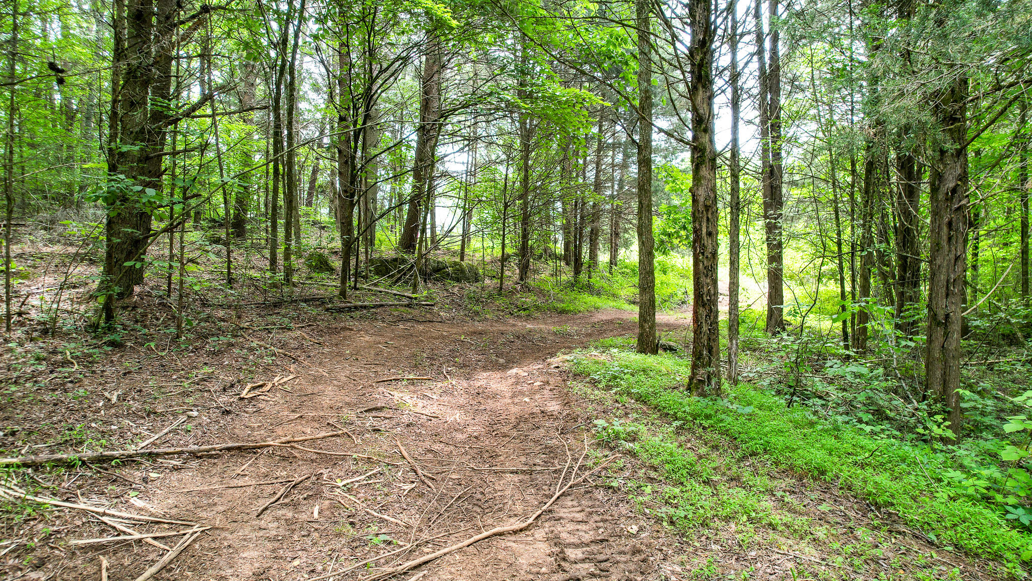 Tbd West Pines Road, Unit 16 Afton, TN 37616 - Photo 10 of 37 DJI_0695