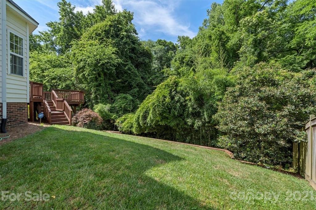 6616 Elfreda Road Charlotte, NC 28270 - Photo 37 of 37 a view of a backyard with potted plants and large trees