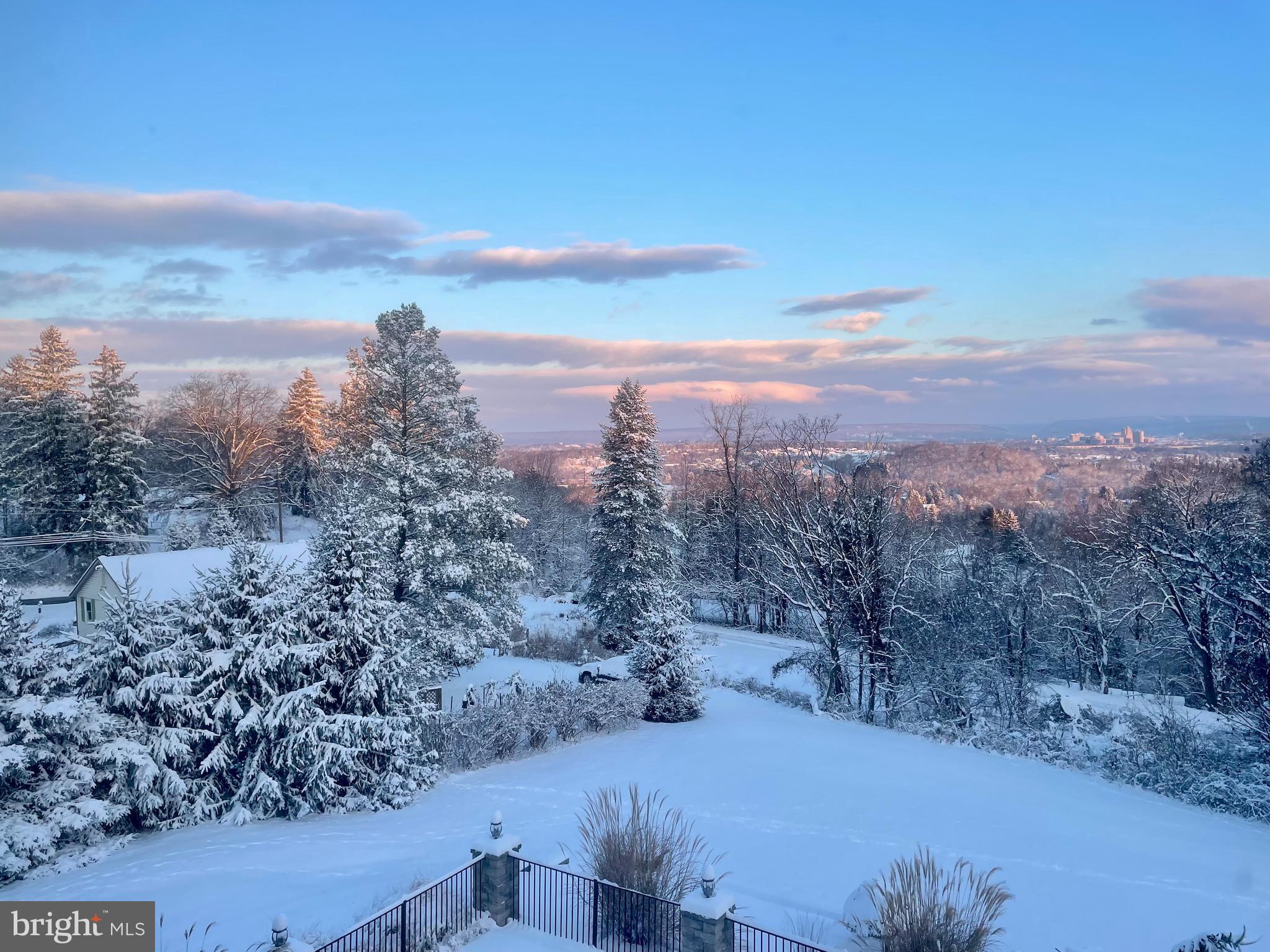 207 Hemlock Road New Cumberland, PA 17070 - Photo 47 of 51 Live in your own winter wonderland!