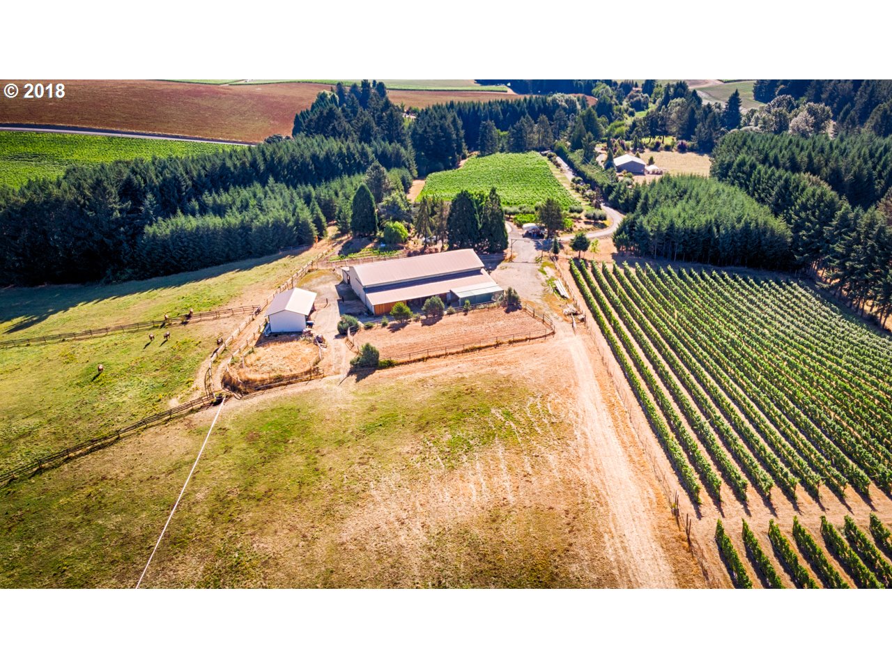 5195 Southwest Hergert Road Cornelius, OR 97113 - Photo 4 of 27