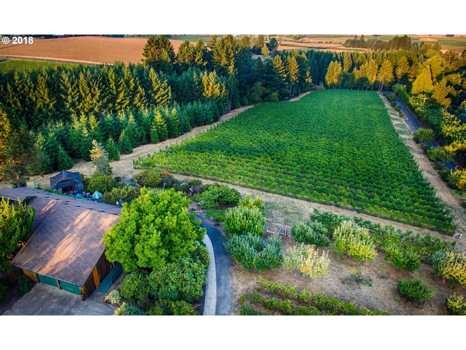 5195 Southwest Hergert Road Cornelius, OR 97113 - Photo 6 of 27