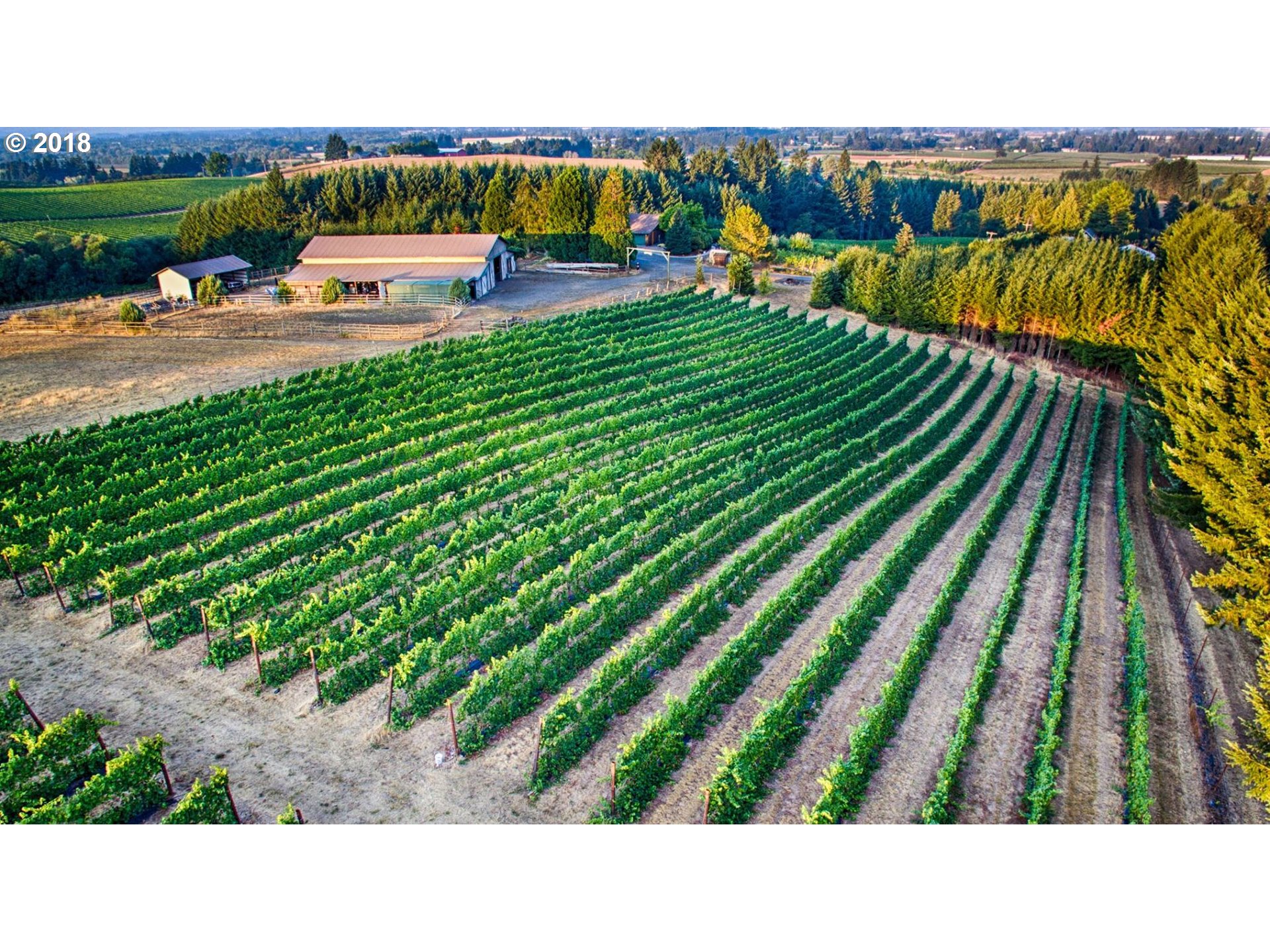 5195 Southwest Hergert Road Cornelius, OR 97113 - Photo 8 of 27