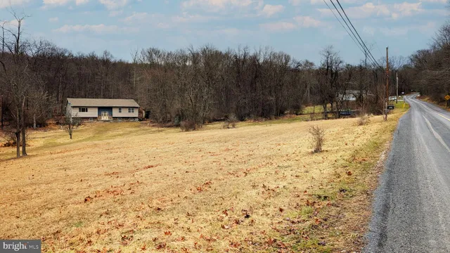 a view of a yard with trees in the background