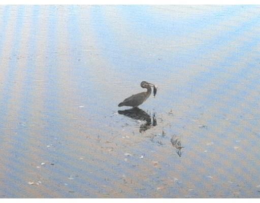 27 King Philip Road Norton, MA 02766 - Photo 23 of 27