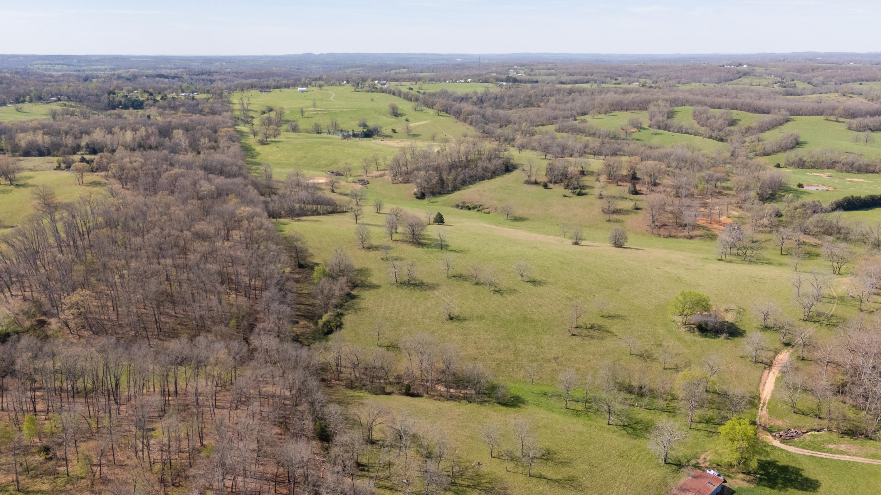 9795 Co Road Ava, MO 65608 - Photo 59 of 93 Douglas198drone(MLSRES)-38