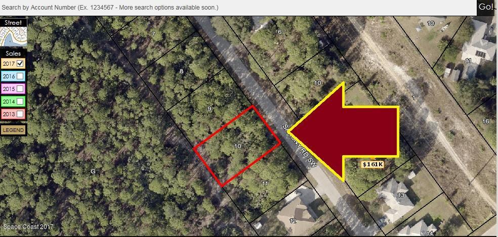 1366 Saxony Road Southwest Palm Bay, FL 32908 - Photo 2 of 6 a view of a yard with a tree